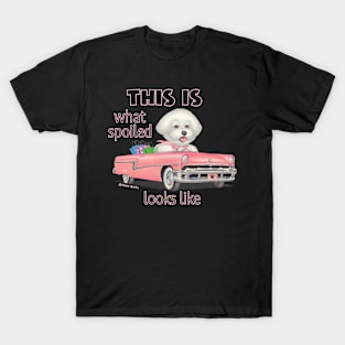 Cute and ready to shop Bichon Frise in classic  Pink Car T-Shirt